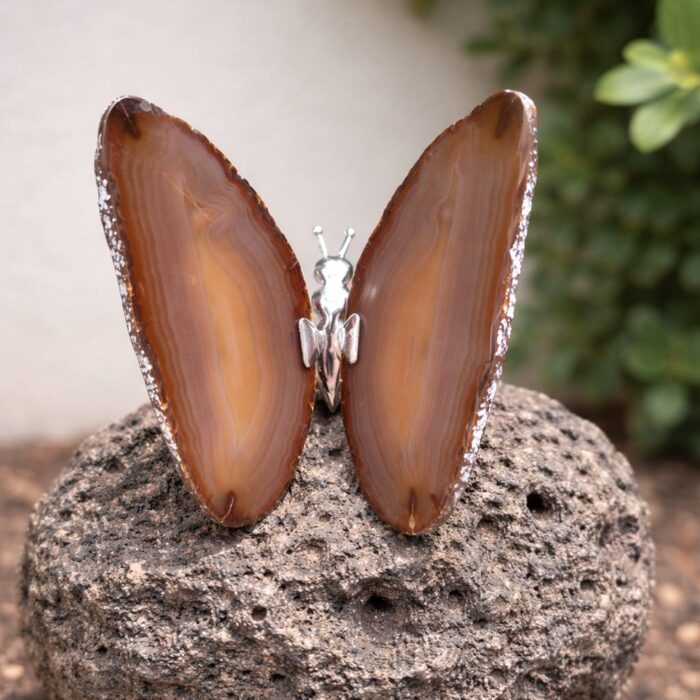 Borboleta Ágata Marrom (natural) - Nº2 #1
