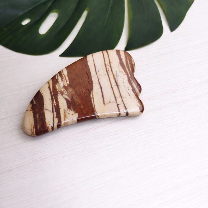 guasha jaspe zebra m