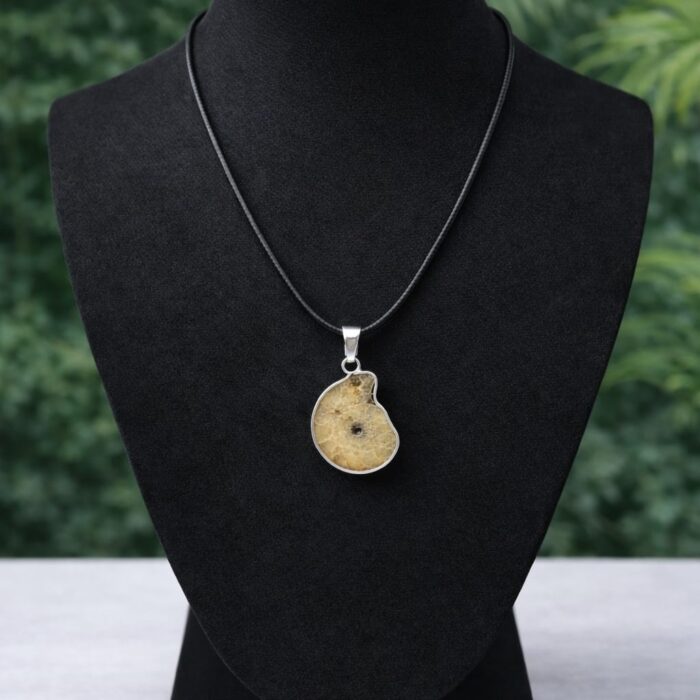 Pingente de Amonita 1