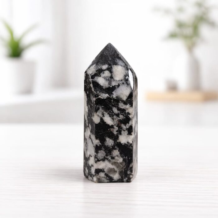 Ponta de Quartzo com Turmalina Negra - 124gr