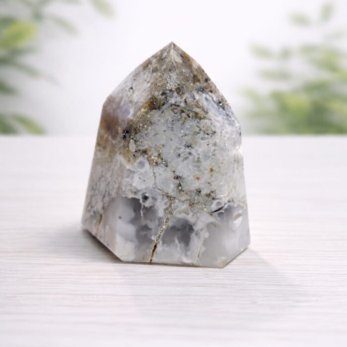 Ponta de Ágata Dendrítica - 81gr 1