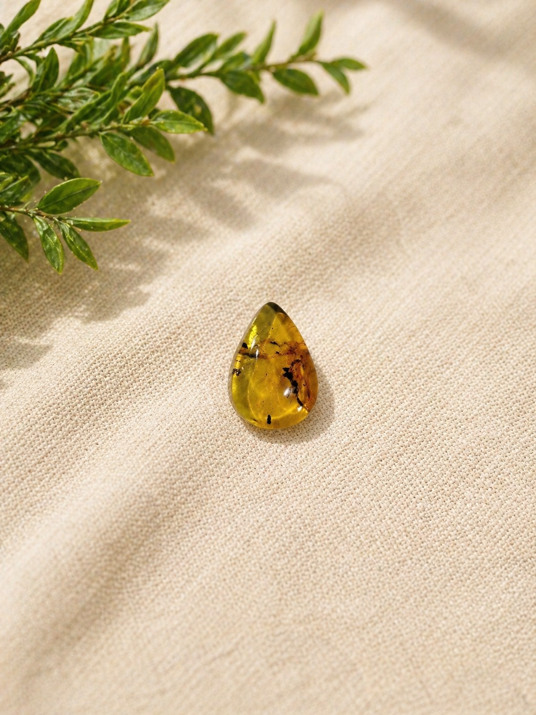 Cabochão Âmbar - 5,6ct Cabochão Âmbar - 5,6ct