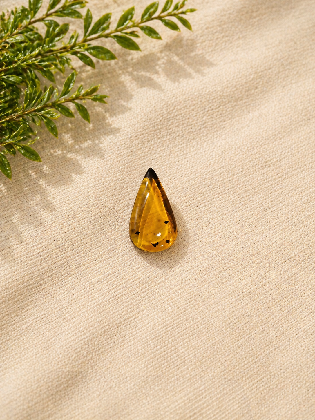 Cabochão Âmbar - 4ct Cabochão Âmbar - 4ct