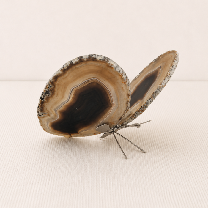 Borboleta Ágata Marrom – Prateada (M)