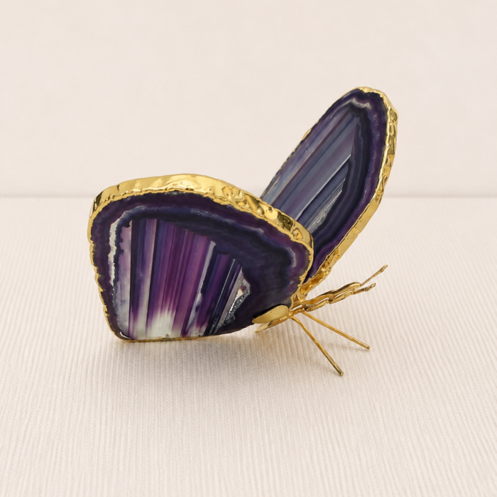 Borboleta Ágata Roxa (Tingida) – Dourada