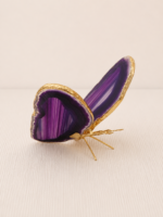 Borboleta Ágata Roxa (Tingida) – Dourada