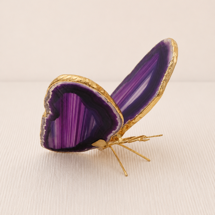 Borboleta Ágata Roxa (Tingida) – Dourada