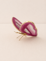 Borboleta Ágata Rosa (Tingida) – Dourada