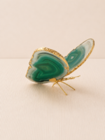 Borboleta Ágata Verde (Tingida) – Dourada