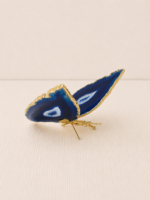 Borboleta Ágata Azul (Tingida) – Dourada