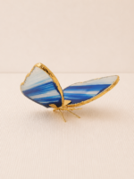 Borboleta Ágata Azul (Tingida) – Dourada