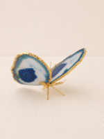 Borboleta Ágata Azul (Tingida) – Dourada